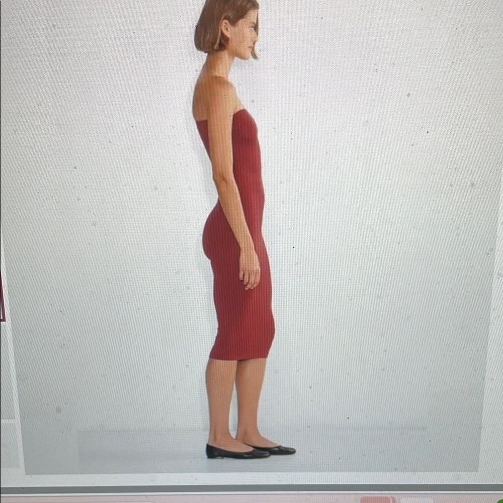 Aritzia Seemless Strapless wine midi Dress-Shapewear - Picture 5 of 8